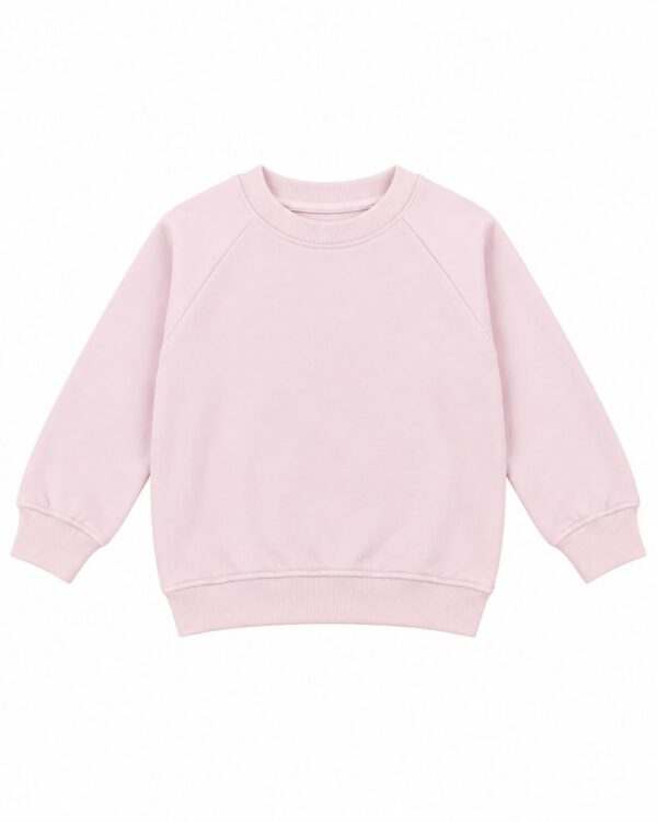 ODDMODE Blush Pink Classic Girls’ Raglan Sweatshirt