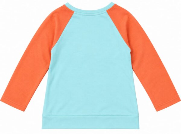 ODDMODE Girls Science Spark Raglan 100% Cotton Full-Sleeve Top